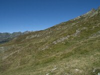 F, Ariege, Couflens, Port de Salau 36, Saxifraga-Willem van Kruijsbergen