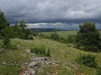F, Lozere, Hures-la-Parade, Le-Buffre 13, Saxifraga-Dirk Hilbers