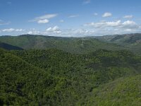 F, Lozere, Le Pompidou, l' Hospitalet 14, Saxifraga-Willem van Kruijsbergen