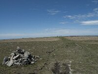 F, Lozere, Le Pont-de-Montvert, Sommet de Finiels 51, Saxifraga-Willem van Kruijsbergen
