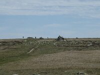 F, Lozere, Le Pont-de-Montvert, Sommet de Finiels 53, Saxifraga-Willem van Kruijsbergen
