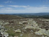 F, Lozere, Le Pont-de-Montvert, Sommet de Finiels 68, Saxifraga-Willem van Kruijsbergen