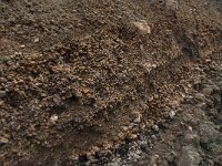 D, Rheinland-Pfalz, Gerolstein, Rockskyll 19, Saxifraga-Willem van Kruijsbergen