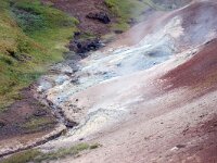 IS, Nordurland eystra, Nordurbing, Peistareykir 12, Saxifraga-Mira, Hoogenboom