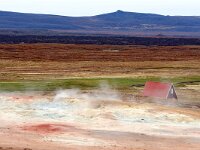 IS, Nordurland eystra, Nordurbing, Peistareykir 7, Saxifraga-Dick, Hoogenboom