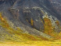 IS, Vesturland, Eyja- og Miklaholtshreppur, Ytri-Raudamelskulur 6, Saxifraga-Dick Hoogenboom