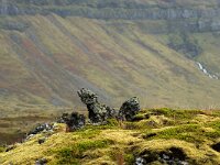 IS, Vesturland, Eyja- og Miklaholtshreppur, Ytri-Raudamelskulur 9, Saxifraga-Mira Hoogenboom