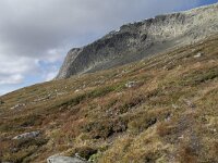 N, Buskerud, Hol, Prestholtseter 14, Saxifraga-Willem van Kruijsbergen