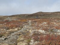 N, Buskerud, Hol, Tuva turisthytte 104, Saxifraga-Annemiek Bouwman