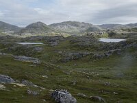 N, Finnmark, Nordkapp, Gjesvaer 31, Saxifraga-Willem van Kruijsbergen
