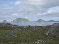 N, Finnmark, Nordkapp, Gjesvaer 37, Saxifraga-Willem van Kruijsbergen