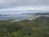 N, Finnmark, Nordkapp, Gjesvaer 39, Saxifraga-Willem van Kruijsbergen