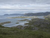 N, Finnmark, Nordkapp, Gjesvaer 40, Saxifraga-Willem van Kruijsbergen