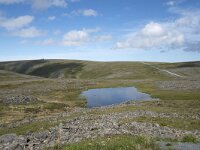N, Finnmark, Nordkapp, Nordkapp 46, Saxifraga-Willem van Kruijsbergen