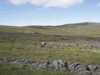 N, Finnmark, Nordkapp, Nordkapp 47, Saxifraga-Willem van Kruijsbergen