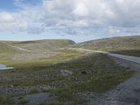 N, Finnmark, Nordkapp, Nordkapp 48, Saxifraga-Willem van Kruijsbergen