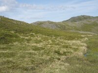 N, Finnmark, Nordkapp, Skarsvag 13, Saxifraga-Willem van Kruijsbergen