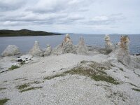 N, Finnmark, Porsanger, Trollholmsund 16, Saxifraga-Willem van Kruijsbergen