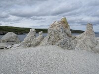 N, Finnmark, Porsanger, Trollholmsund 19, Saxifraga-Willem van Kruijsbergen