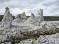 N, Finnmark, Porsanger, Trollholmsund 27, Saxifraga-Willem van Kruijsbergen