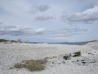 N, Finnmark, Porsanger, Trollholmsund 33, Saxifraga-Willem van Kruijsbergen
