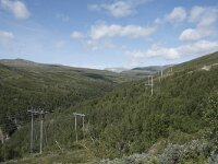 N, Innlandet, Lesja, Sladalsvegen 10, Saxifraga-Willem van Kruijsbergen