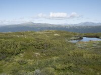 N, Innlandet, Lesja, Sladalsvegen 4, Saxifraga-Willem van Kruijsbergen