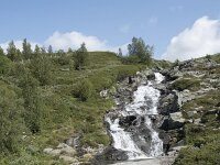 N, Innlandet, Lesja, Sladalsvegen 7, Saxifraga-Willem van Kruijsbergen