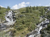 N, Innlandet, Lesja, Sladalsvegen 9, Saxifraga-Willem van Kruijsbergen