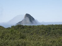 N, Nordland, Andoy, Bleikmorenen 7, Saxifraga-Willem van Kruijsbergen