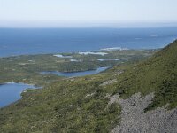 N, Nordland, Andoy, Nonstinden 17, Saxifraga-Willem van Kruijsbergen