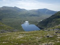 N, Nordland, Andoy, Nonstinden 19, Saxifraga-Willem van Kruijsbergen