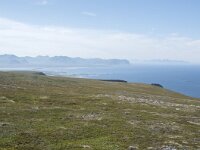 N, Nordland, Andoy, Nonstinden 24, Saxifraga-Willem van Kruijsbergen