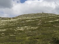 N, Oppland, Nord-Fron, Kvam, Rondablikk 3, Saxifraga-Willem van Kruijsbergen