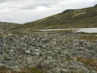 N, Oppland, Sel, Hovringsvatnet 4, Saxifraga-Willem van Kruijsbergen