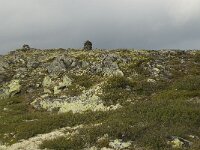 N, Oppland, Sel, Karihaugen 5, Saxifraga-Willem van Kruijsbergen