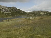 N, Oppland, Sel, Klufttjonne 7, Saxifraga-Willem van Kruijsbergen