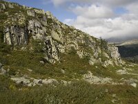 N, Oppland, Sel, Mysuseter 7, Saxifraga-Willem van Kruijsbergen