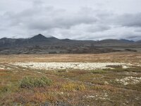 N, Oppland, Sel, Peer Gynt Hytta 119, Saxifraga-Willem van Kruijsbergen