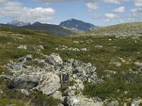 N, Oppland, Sel, Peer Gynt Hytta 3, Saxifraga-Jan van der Straaten