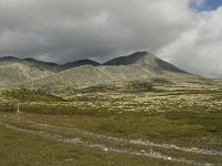 N, Oppland, Sel, Smiubelgin 2, Saxifraga-Willem van Kruijsbergen.