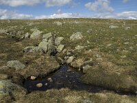N, Oppland, Vaga, Bygdin 4, Saxifraga-Jan van der Straaten