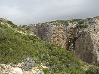 P, Faro, Vila do Bispo, Cabo Sao Vicente 27, Saxifraga-Willem van Kruijsbergen