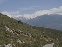 E, Granada, Orgiva, Sierra de Lujar, Olias 14, Saxifraga-Willem van Kruijsbergen