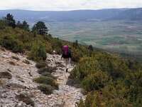 E, Teruel, Fortanete 1, Saxifraga-Jan van der Straaten