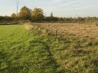 B, Limburg, Neerpelt, Hageven 28, Saxifraga-Jan van der Straaten