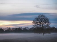 NL, Drenthe, Hoogeveen, Nuilerveld 10, Saxifraga-Hans Dekker