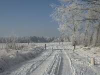 NL, Noord-Brabant, Alphen-Chaam, Strijbeekse Heide 7, Saxifraga-Jan van der Straaten