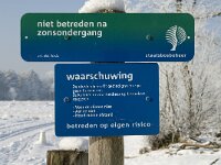 NL, Noord-Brabant, Alphen-Chaam, Strijbeekse Heide 8, Saxifraga-Jan van der Straaten