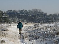 NL, Noord-Brabant, Cranendonck, Groote Heide 14, Saxifraga-Marijke Verhagen